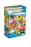 Mengsel Vlinderbloemenmengsel Maxi-Pack