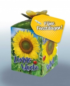 Greengift Zonnebloem met geel label Fijne Feestdagen