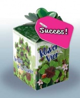 Greengift Klavertje Vier met label SUCCES! (roze)