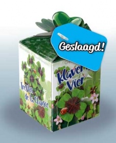 Greengift Klavertje Vier met label GESLAAGD