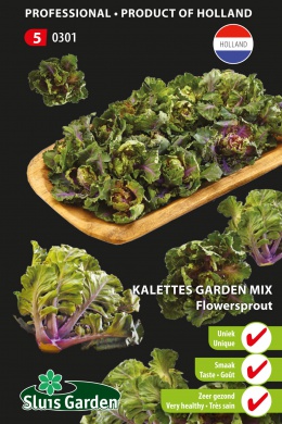 Kalettes Garden mix (flowersprout)
