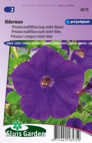 Petunia Alderman, violet-blauw
