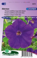 Petunia Alderman, violet-blue