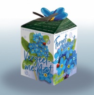 Greengift Vergeet-me-niet