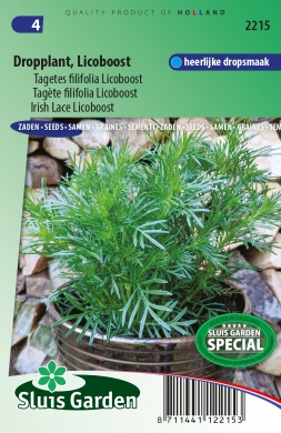Tagetes filifolia Licoboost 