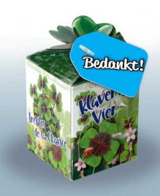Greengift Klavertje Vier met label BEDANKT