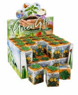 Greengift, Suzanne met de mooie ogen 40 stuks in showdoos