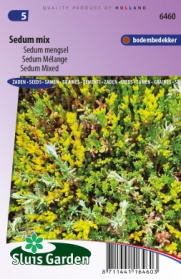 Sedum Mix