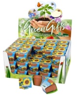 Terracotta showdoos Zonnebloem 60 stuks
