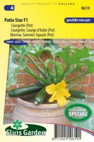 Courgette, Courge d'Italie Patio Star F1