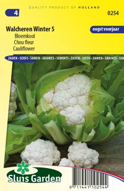Chou Fleur Walcheren Winter 5 Les Varietes De Choux Producten Sluis Garden Chou Fleur Walcheren Winter 5 Les Varietes De Choux Producten Sluis Garden