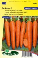 Carrot Berlikumer 2 (Long Autumn and Winter)