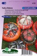 Ornamental Gourd Large Fruited Turkish Turban