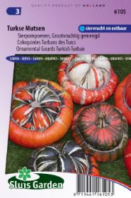 Cucurbita Turkse Muts Grote Vruchten