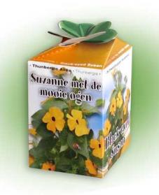 Greengift Suzanne met de mooie ogen