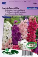 Ridderspoor Hyacinth bloemige Mix (Delphinium)