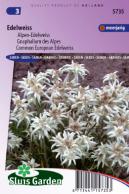Edelweiss, Gnaphalium des Alpes