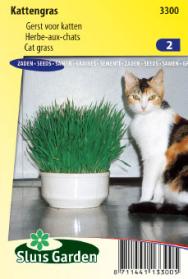 Herbe-aux-chats