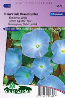 Klimmende Winde Clark's Blue (Ipomoea)