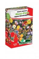 Mixture Japanese Flower Garden (annual) Maxi-Pack