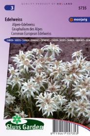 Alpen-Edelweiss