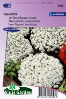 Wit Zeeschildzaad, Alyssum, Snowcloth