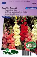 Garden Stocks, Gilllyflower Dwarf Ten Week Mix