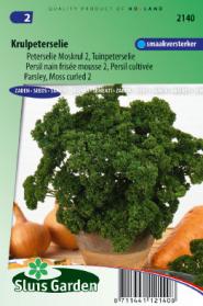Parsley Moss curled 2 (Petrosel. crispum)