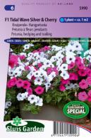 Petunia, hedging and trailing F1 Tidle Wave SIlver & Cherry