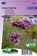 Verbena Purple Top (IJzerhard)