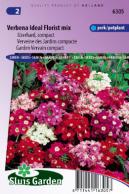 Verveine des Jardins compacta Ideal Florist Mix
