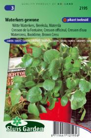 Watercress, Booklime, Brown Cress (Nasturtium off.)