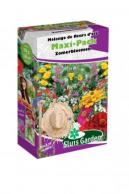 Mengsel Zomerbloemen Maxi-Pack