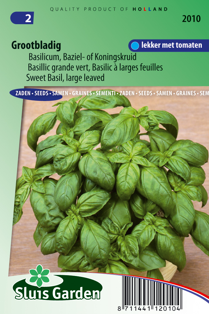 Basilicum Grove (Ocimum basilicum)