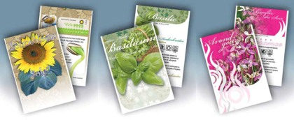 ontwikkelen Antipoison Reusachtig zaden als geschenk promotie of cadeau goedkoop online kopen -  Tuingoedkoop.nl | A merken voor een scherpe prijs